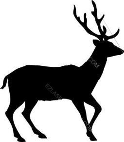 Deer Silhouette